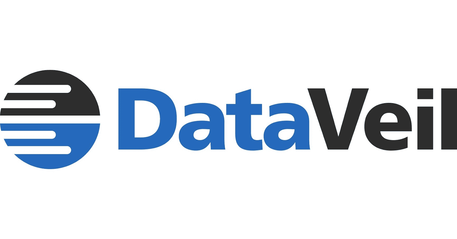 dataveil logo