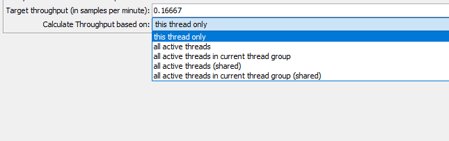 using the throughput timer