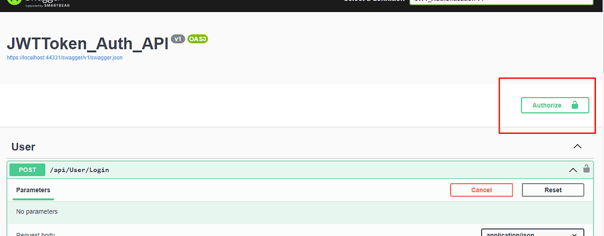 swagger api testing authorize